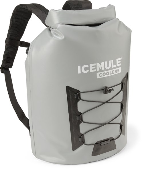 Best beach cooler best sale backpack